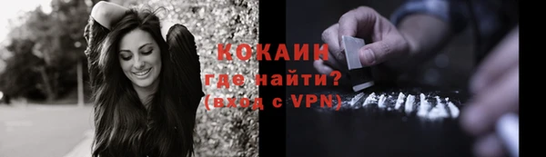 не бодяженный Новодвинск
