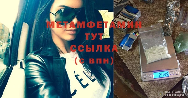 шишки Гусь-Хрустальный